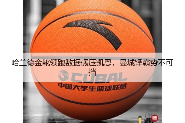 ha-lan-de-jin-xue-ling-pao-shu-ju-nian-ya-kai-en-man-cheng-feng-ba-shi-bu-ke-dang-3-440.jpg