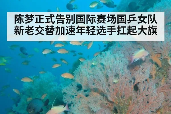 陈梦正式告别国际赛场国乒女队新老交替加速年轻选手扛起大旗