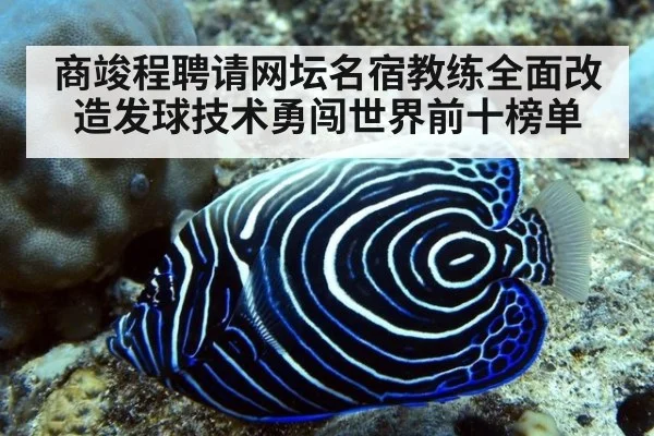 商竣程聘请网坛名宿教练全面改造发球技术勇闯世界前十榜单